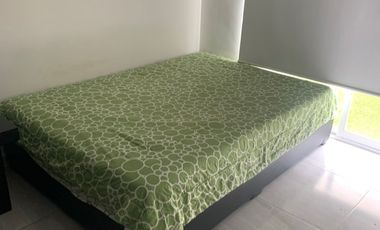 DEPARTAMENTO TOTALMENTE AMUEBLADO PLANTA BAJA