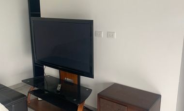 DEPARTAMENTO TOTALMENTE AMUEBLADO PLANTA BAJA