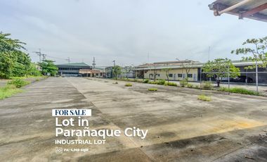 Industrial Lot For Sale near Airpoirt and C5 Extension, Parañaque City