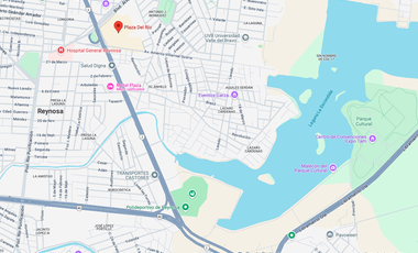 VENTA LOCAL EN PLAZA COMERCIAL RIO GRANDE ZONA ROSA REYNOSA OPORTUNIDAD DE INVERSION REMATE