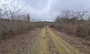 Venta de Terreno Agrícola de 288 Hectáreas - Chanduy, Santa Elena