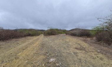 Venta de Terreno Agrícola de 288 Hectáreas - Chanduy, Santa Elena