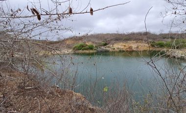 Venta de Terreno Agrícola de 288 Hectáreas - Chanduy, Santa Elena