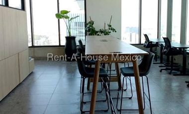 25-1202 Renta Departamento Loft Nomad Toreo, IH
