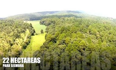 Rancho en venta El Refugio Patzcuaro