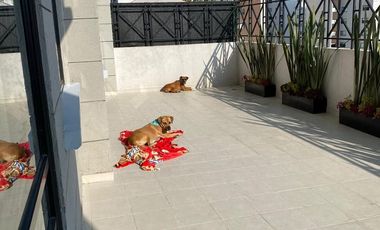Vendo departamento en Park D’Luxe se aceptan mascotas