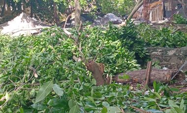 Terreno en venta en cozumel a 5 cuadras del Malecon