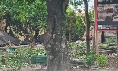 Terreno en venta en cozumel a 5 cuadras del Malecon