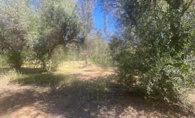 SE VENDE PARCELA EN SAN JUAN, SAN ANTONIO