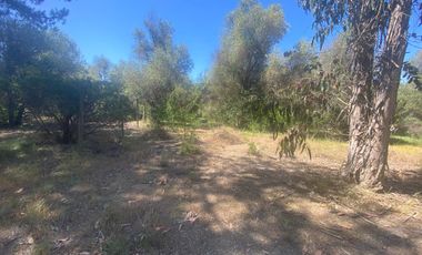 SE VENDE PARCELA EN SAN JUAN, SAN ANTONIO