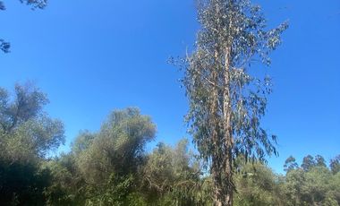 SE VENDE PARCELA EN SAN JUAN, SAN ANTONIO