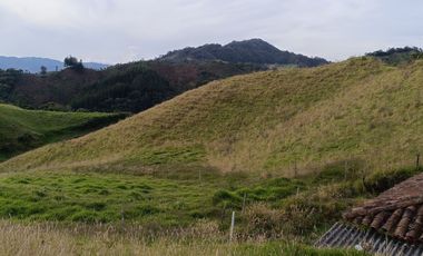 EXTENSA FINCA GANADERA Y AGRICOLA EN ABEJORRAL DE 110 CUADRAS