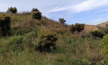 EXTENSA FINCA GANADERA Y AGRICOLA EN ABEJORRAL DE 110 CUADRAS