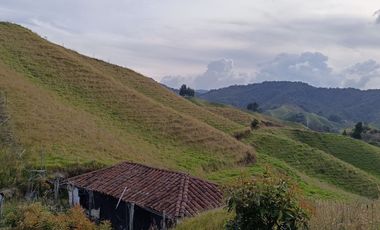EXTENSA FINCA GANADERA Y AGRICOLA EN ABEJORRAL DE 110 CUADRAS