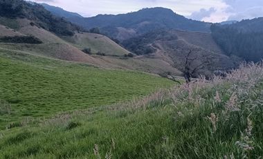 EXTENSA FINCA GANADERA Y AGRICOLA EN ABEJORRAL DE 110 CUADRAS