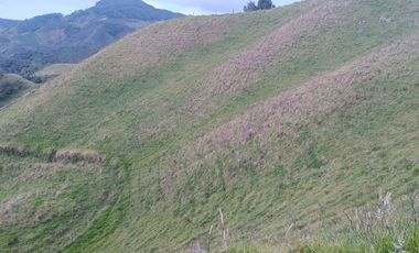 EXTENSA FINCA GANADERA Y AGRICOLA EN ABEJORRAL DE 110 CUADRAS