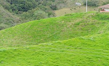EXTENSA FINCA GANADERA Y AGRICOLA EN ABEJORRAL DE 110 CUADRAS