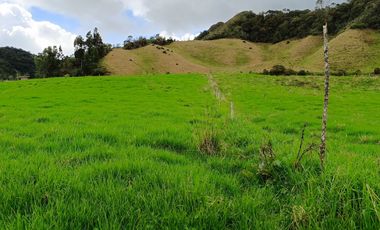 EXTENSA FINCA GANADERA Y AGRICOLA EN ABEJORRAL DE 110 CUADRAS