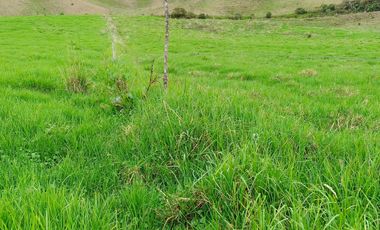 EXTENSA FINCA GANADERA Y AGRICOLA EN ABEJORRAL DE 110 CUADRAS