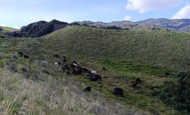 EXTENSA FINCA GANADERA Y AGRICOLA EN ABEJORRAL DE 110 CUADRAS