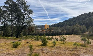 TERRENOS CAMPESTRES EN VENTA EN VILLA MADERO