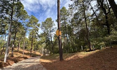 TERRENOS CAMPESTRES EN VENTA EN VILLA MADERO