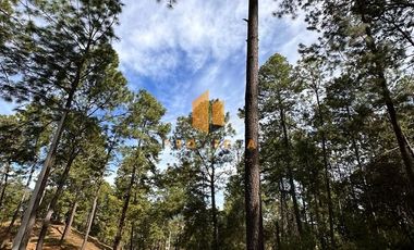 TERRENOS CAMPESTRES EN VENTA EN VILLA MADERO