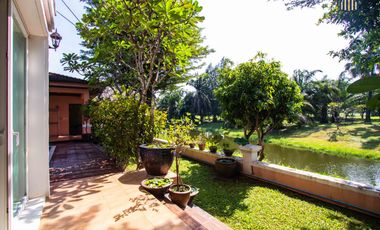 Luxurious Feng Shui 