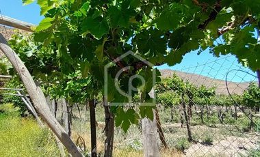 Venta casa en parcela de agrado, El Tambo, Valle de Elqui