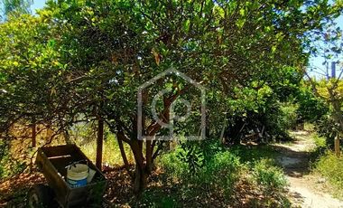 Venta casa en parcela de agrado, El Tambo, Valle de Elqui