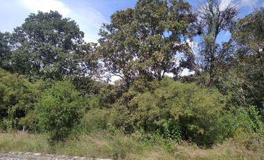 Haras del Bosque, fraccionamiento La Joya