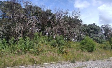 Haras del Bosque, fraccionamiento La Joya