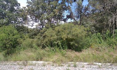 Haras del Bosque, fraccionamiento La Joya