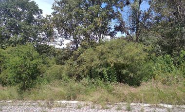 Haras del Bosque, fraccionamiento La Joya