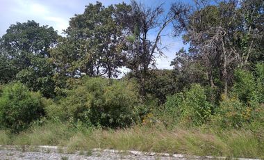 Haras del Bosque, fraccionamiento La Joya