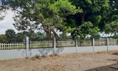 Brand New 2Storey Single House and Lot in The Orchard Golf and Country Club Dasmariñas Cavite