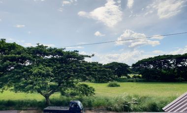 Brand New 2Storey Single House and Lot in The Orchard Golf and Country Club Dasmariñas Cavite
