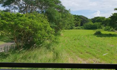 Brand New 2Storey Single House and Lot in The Orchard Golf and Country Club Dasmariñas Cavite