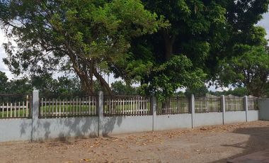Brand New 2Storey Single House and Lot in The Orchard Golf and Country Club Dasmariñas Cavite