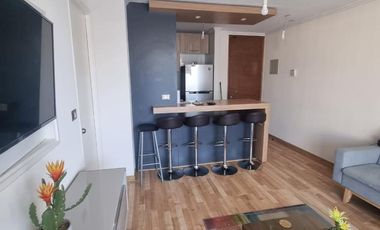 DEPARTAMENTO AMOBLADO PRIMER PISO EDIFICIO INNOVA