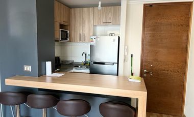 DEPARTAMENTO AMOBLADO PRIMER PISO EDIFICIO INNOVA