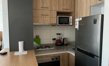 DEPARTAMENTO AMOBLADO PRIMER PISO EDIFICIO INNOVA