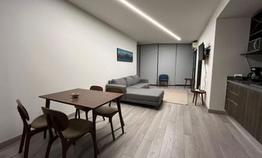 DEPARTAMENTO EN RENTA  AMUEBLADO EN ADAMANT, 2 RECAMARAS CON SERVICIOS