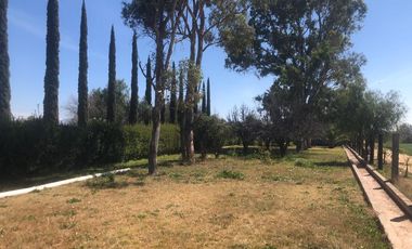RANCHO AGRICOLA 59 HECTAREAS  EN SAN DIEGO UNION CON POZO, CONCESION, CARR. ASFALTADA, CASA, BODEGA, SISTEMA RIEGO EN DR. MORA