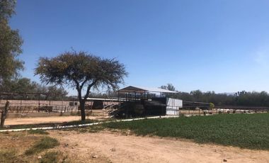 RANCHO AGRICOLA 59 HECTAREAS  EN SAN DIEGO UNION CON POZO, CONCESION, CARR. ASFALTADA, CASA, BODEGA, SISTEMA RIEGO EN DR. MORA
