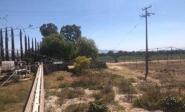 RANCHO AGRICOLA 59 HECTAREAS  EN SAN DIEGO UNION CON POZO, CONCESION, CARR. ASFALTADA, CASA, BODEGA, SISTEMA RIEGO EN DR. MORA