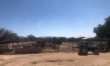 RANCHO AGRICOLA 59 HECTAREAS  EN SAN DIEGO UNION CON POZO, CONCESION, CARR. ASFALTADA, CASA, BODEGA, SISTEMA RIEGO EN DR. MORA