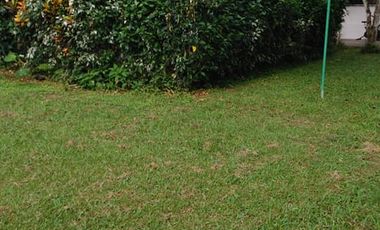 Excelente terreno en el Centro de Santo Domingo de los Tsachilas