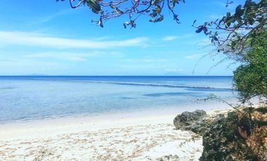 Calatagan Beach Property