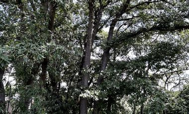 Terreno en venta, Rancho San Juan